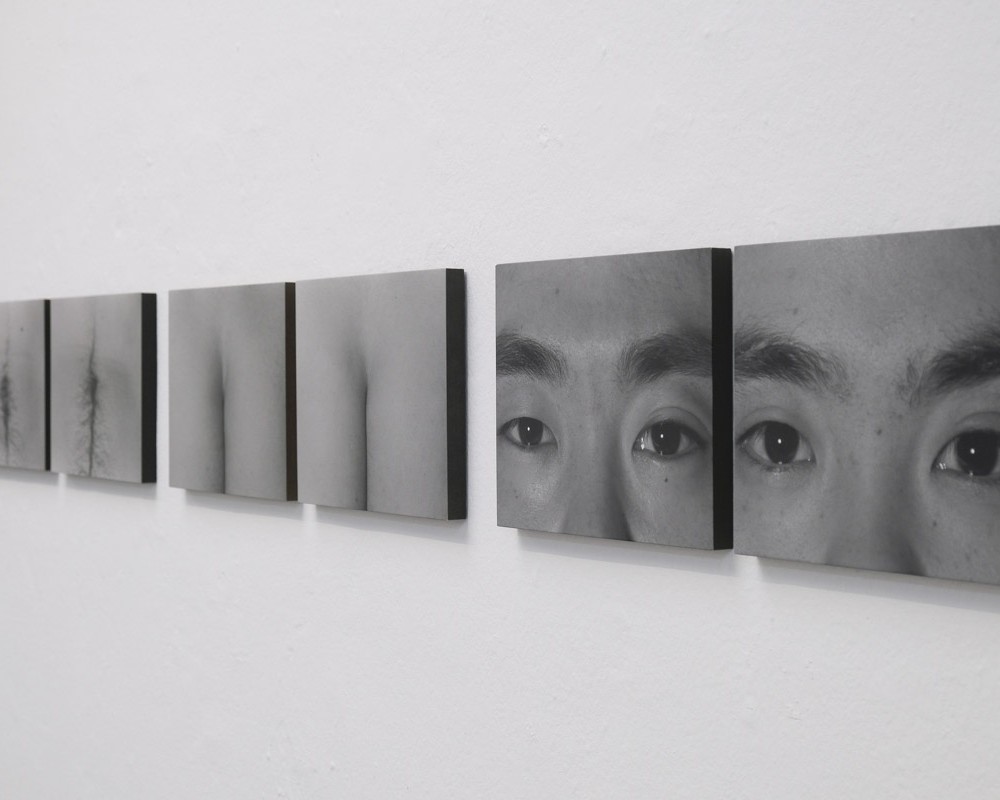 double trouble/double grins/is it so with/twins – Installation View